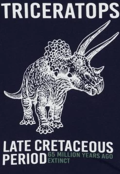 Friboo 4 Pack - Camiseta De Manga Larga - Multi-Coloured/White/Green 7 Friboo 4 Pack - Camiseta De Manga Larga - Multi-Coloured/White/Green -Tienda de moda infantil. e46a129ca14e4143b4912704b064e6c8